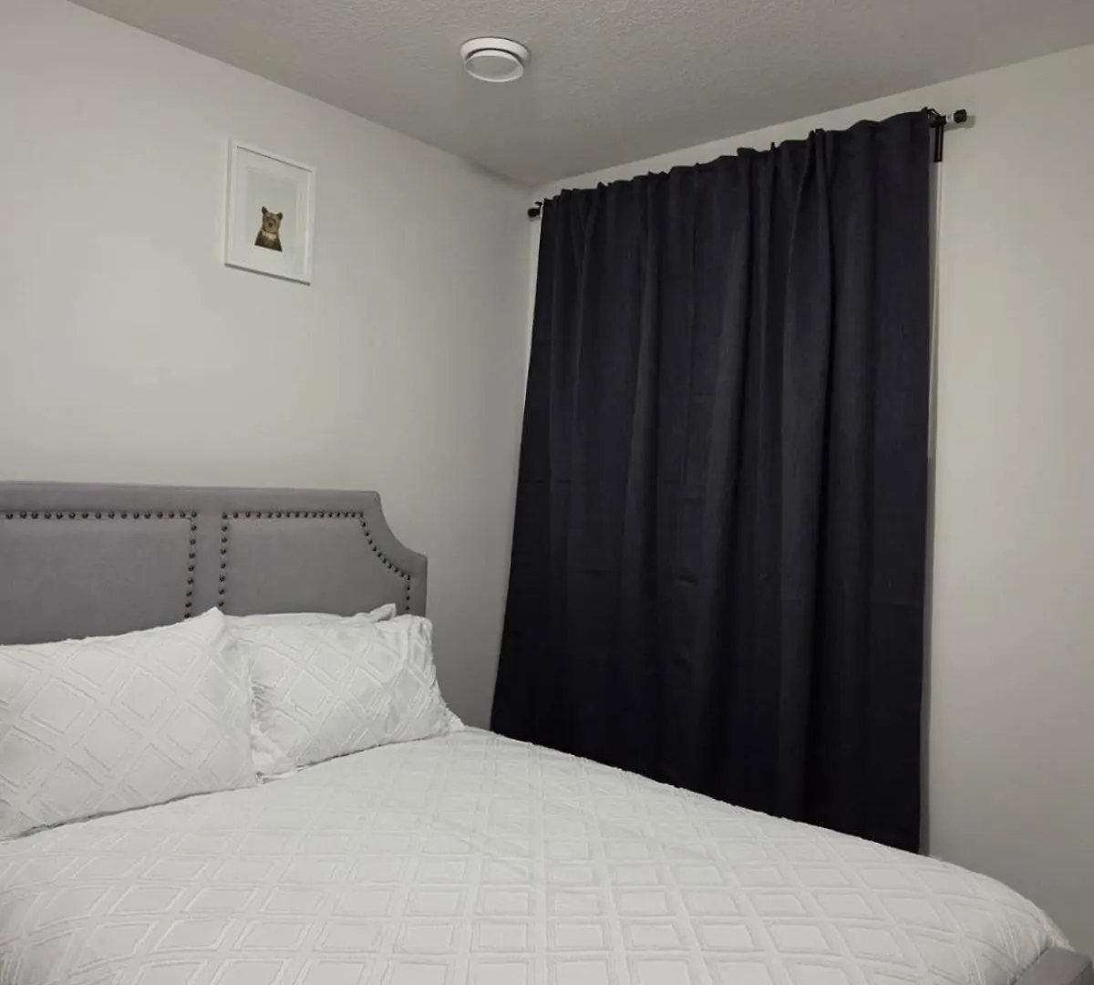 Elegant & Cozy 2 Bdrm Basement Suite Near Wem Edmonton 0*,  Canadá